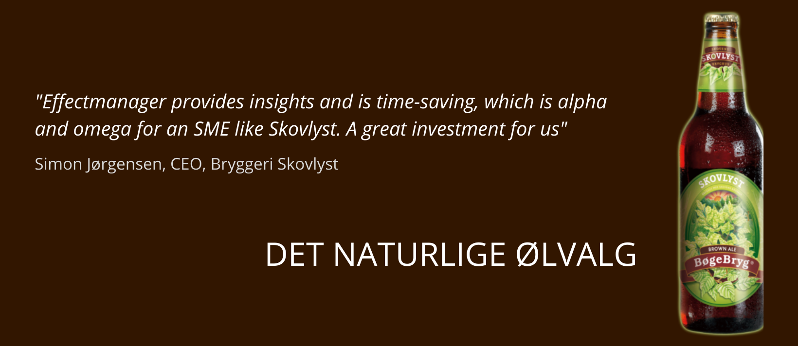 Skovlyst Case Website Cover